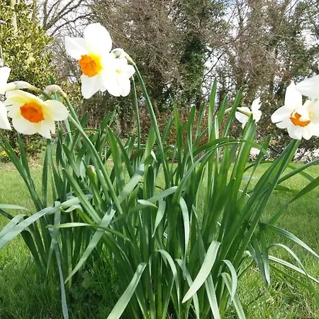 Manoir De La Marie Bed & Breakfast *